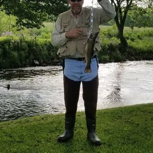 Meet your Posher, Garry